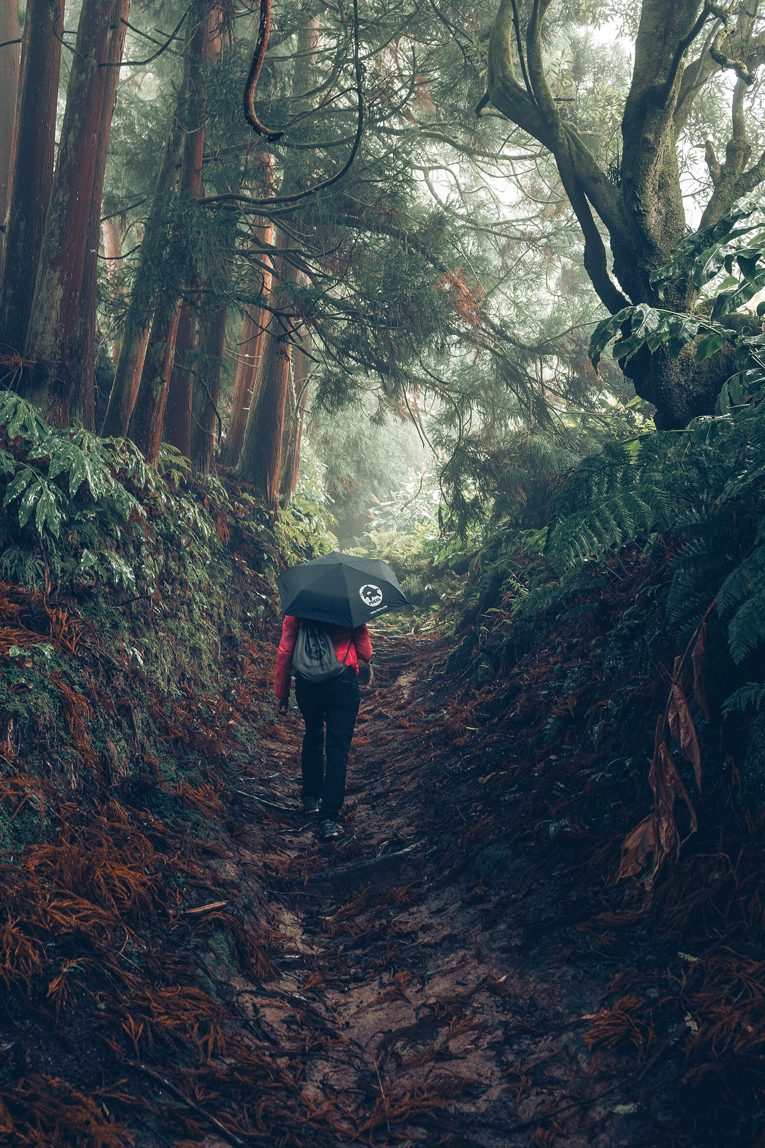 Billede fra skov med kvindelig vandrer i rød jakke med PREFA-paraply og -sportstaske, symboliserer PREFA-miljøbeskyttelse og -bæredygtighed samt kredsløbsøkonomi og genanvendelse.