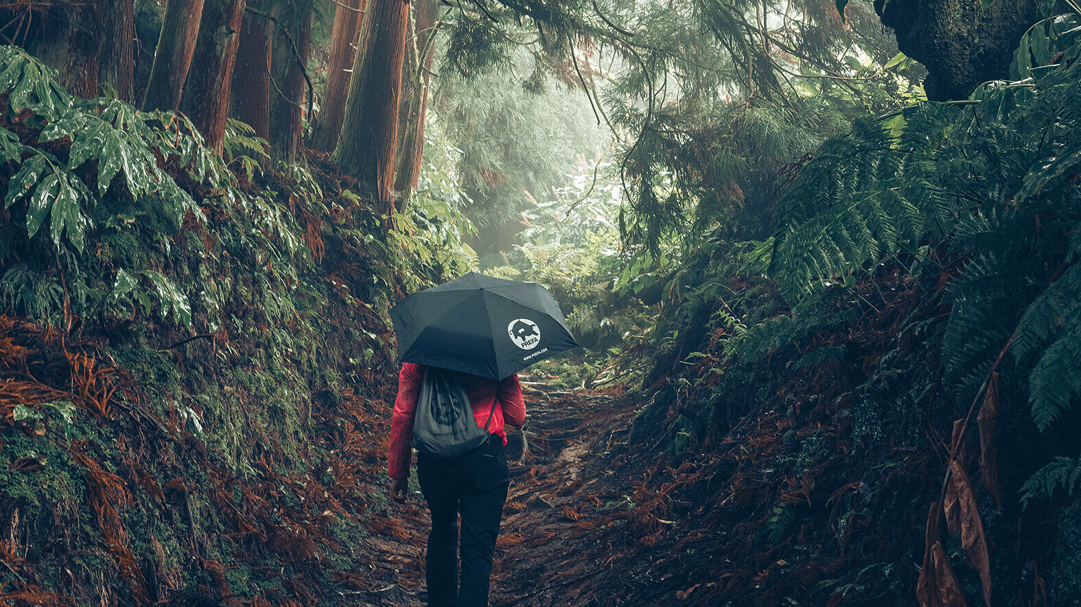 Billede fra skov med kvindelig vandrer i rød jakke med PREFA-paraply og -sportstaske, symboliserer PREFA-miljøbeskyttelse og -bæredygtighed samt kredsløbsøkonomi og genanvendelse.